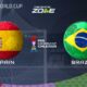 Spain Brazil U 20 World Cup