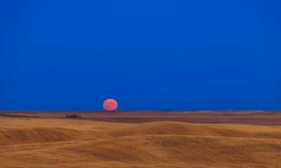 Supermoons October 2025