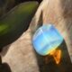 Taylor Swift Song Opalite