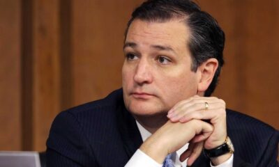 Ted Cruz Senate Hearing Bizarre Comment