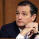 Ted Cruz Senate Hearing Bizarre Comment