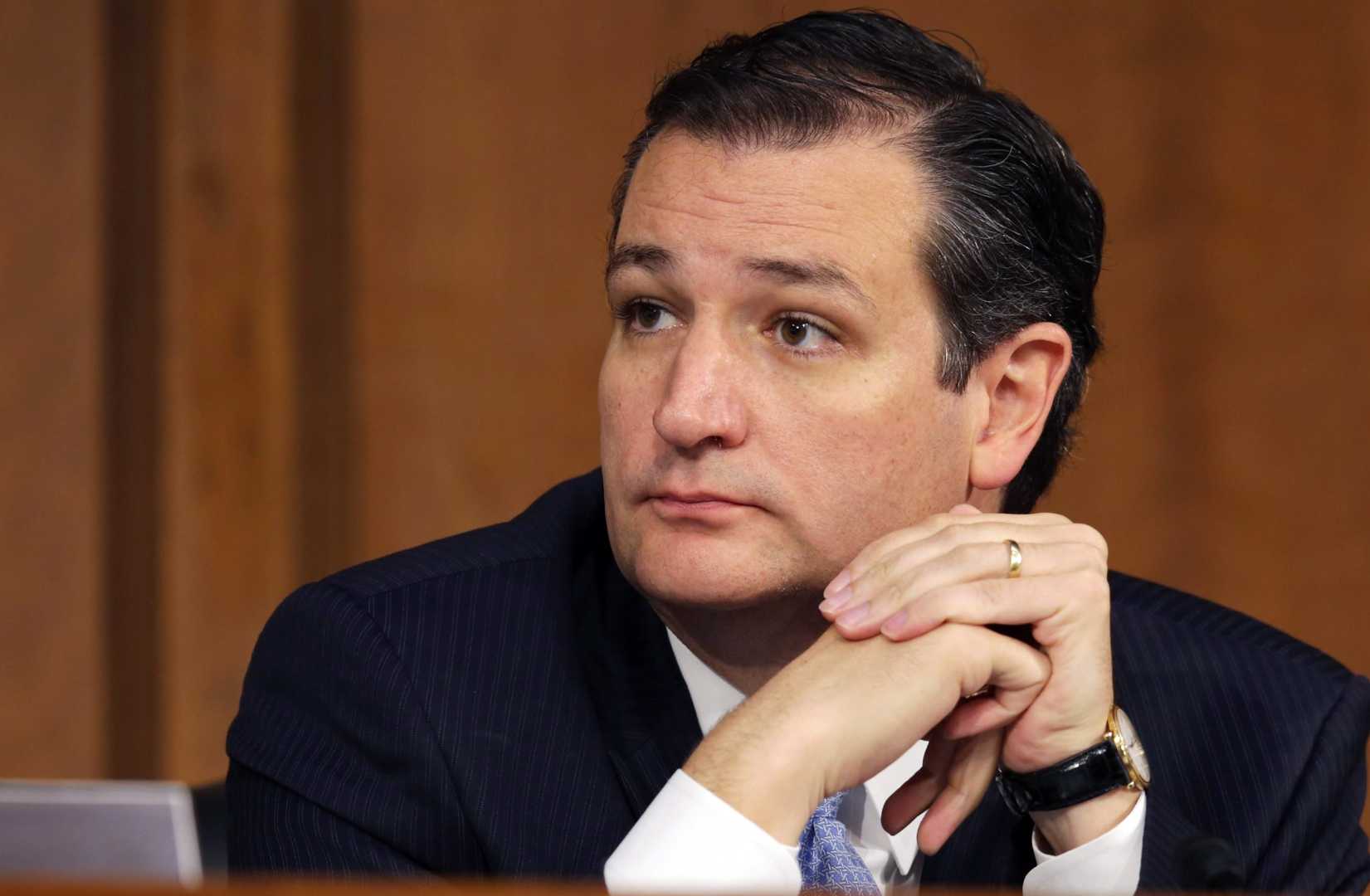 Ted Cruz Senate Hearing Bizarre Comment