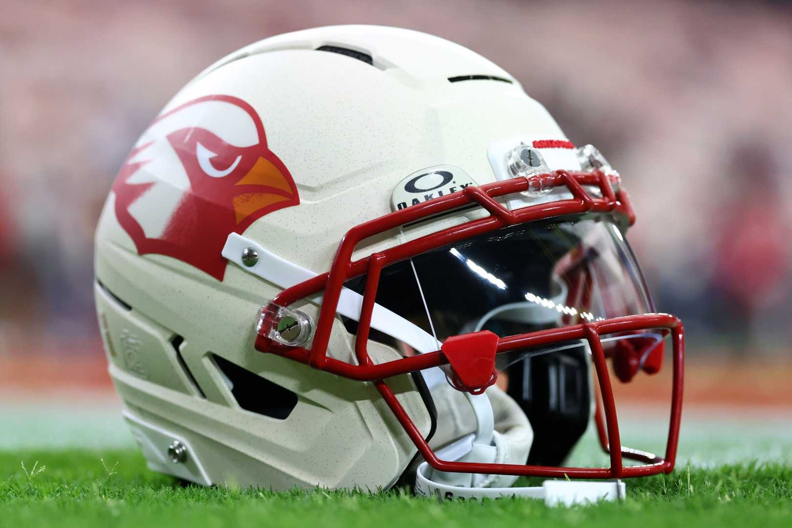 Travis Vokolek Neck Injury Nfl