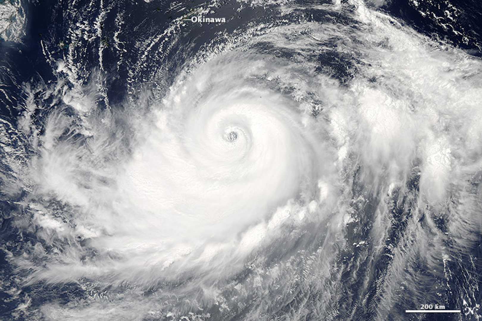 Typhoon Halong North Pacific