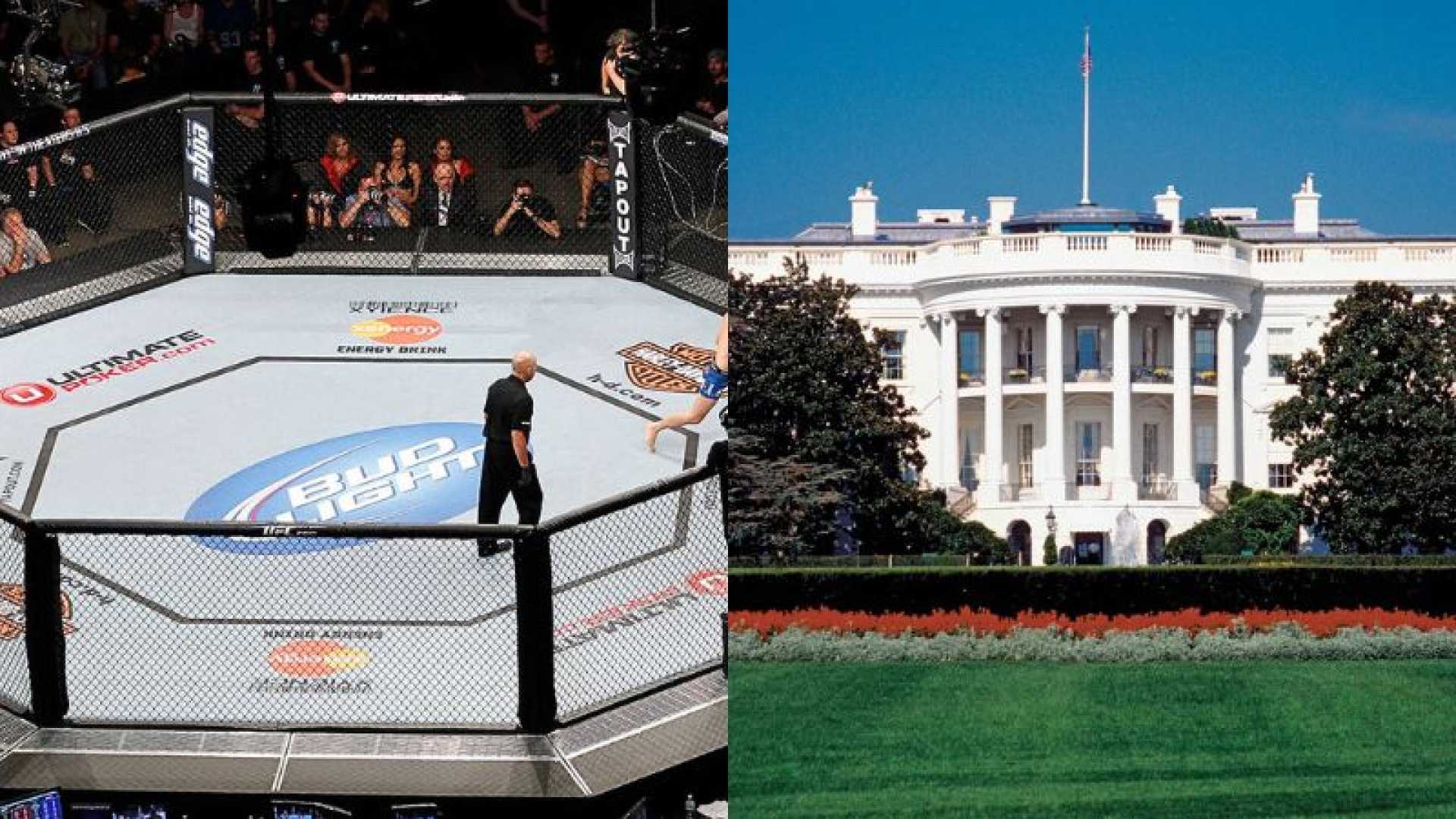 Ufc Event At White House South Lawn