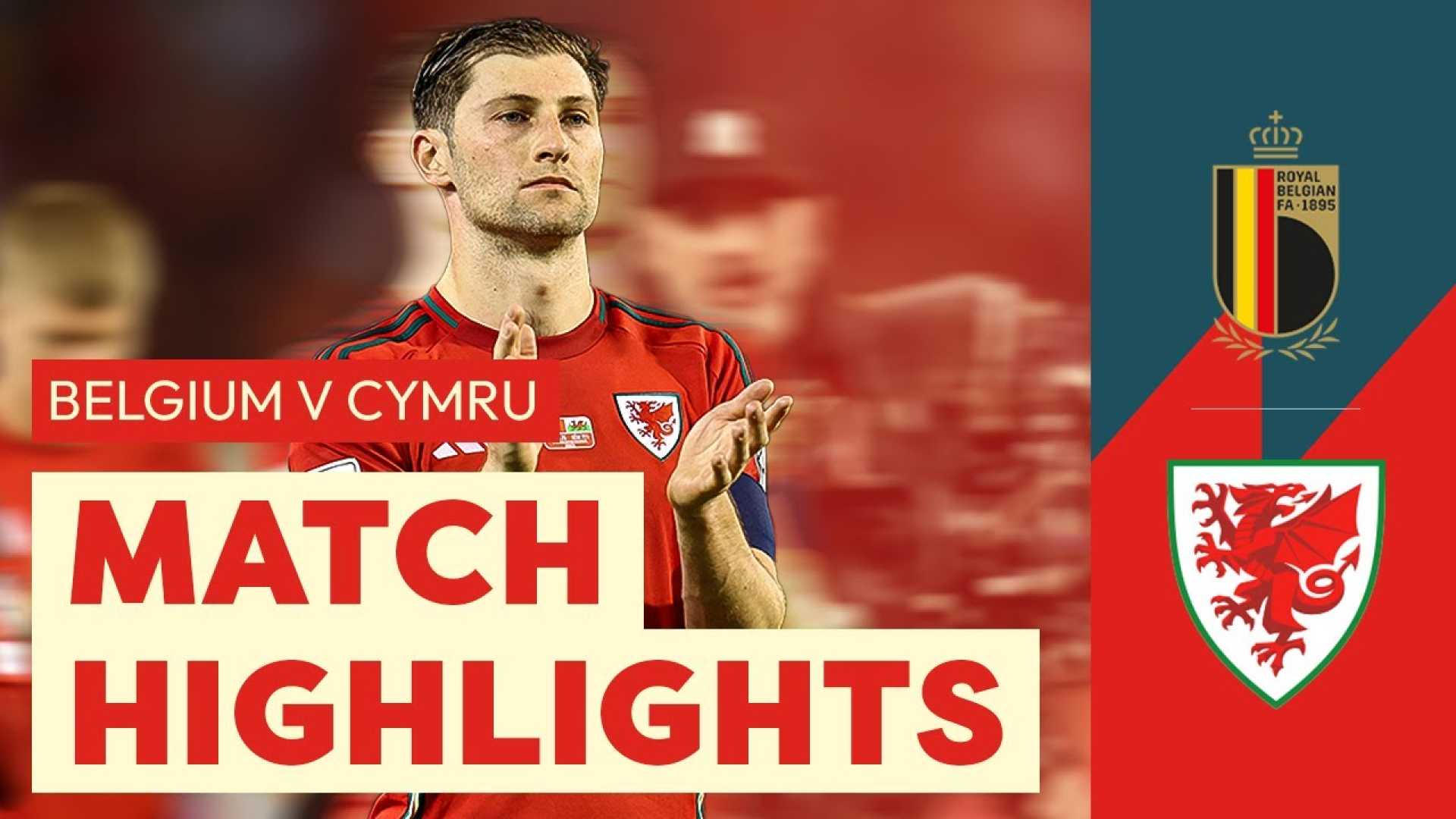 Wales Belgium Football Match