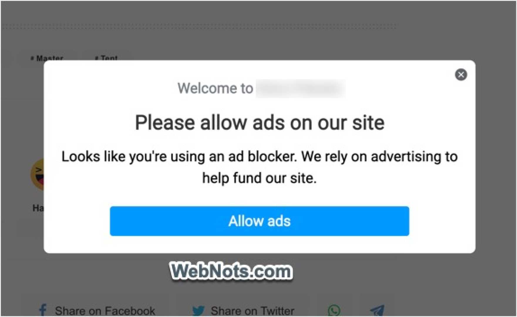 Website Ad Blocker Message