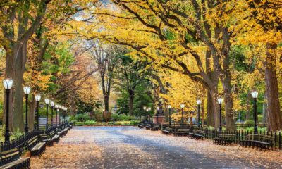 Western New York Fall Events Music Food