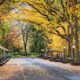 Western New York Fall Events Music Food