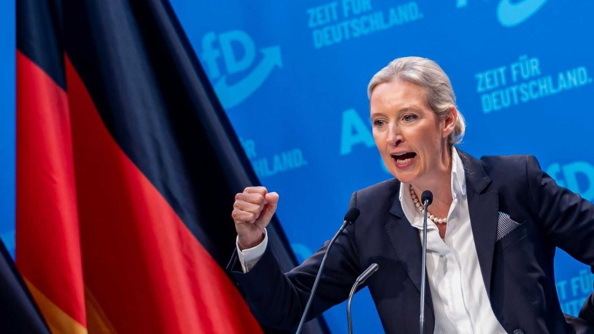 Alice Weidel Afd Germany Russia
