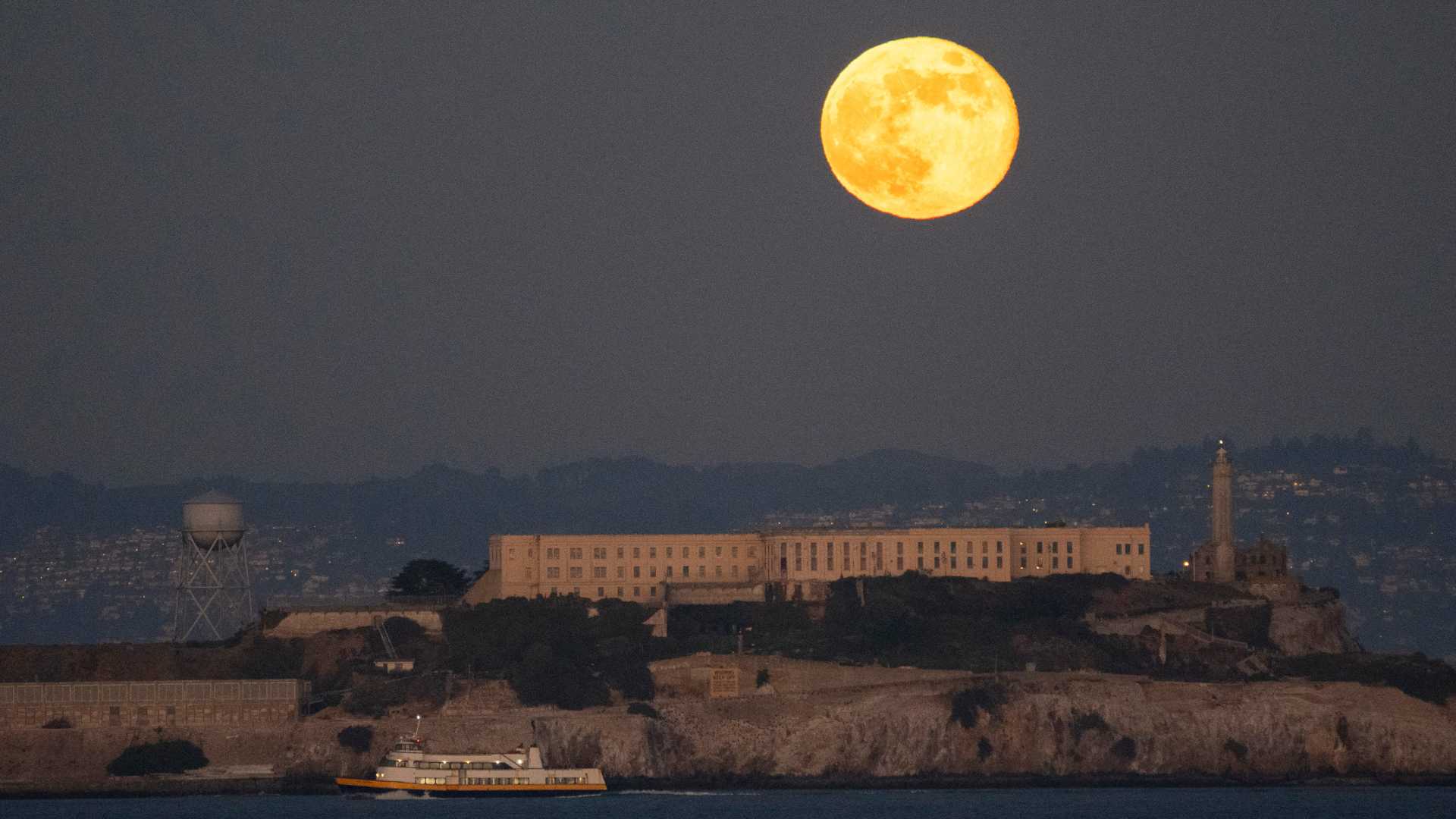 Beaver Moon Los Angeles 2024