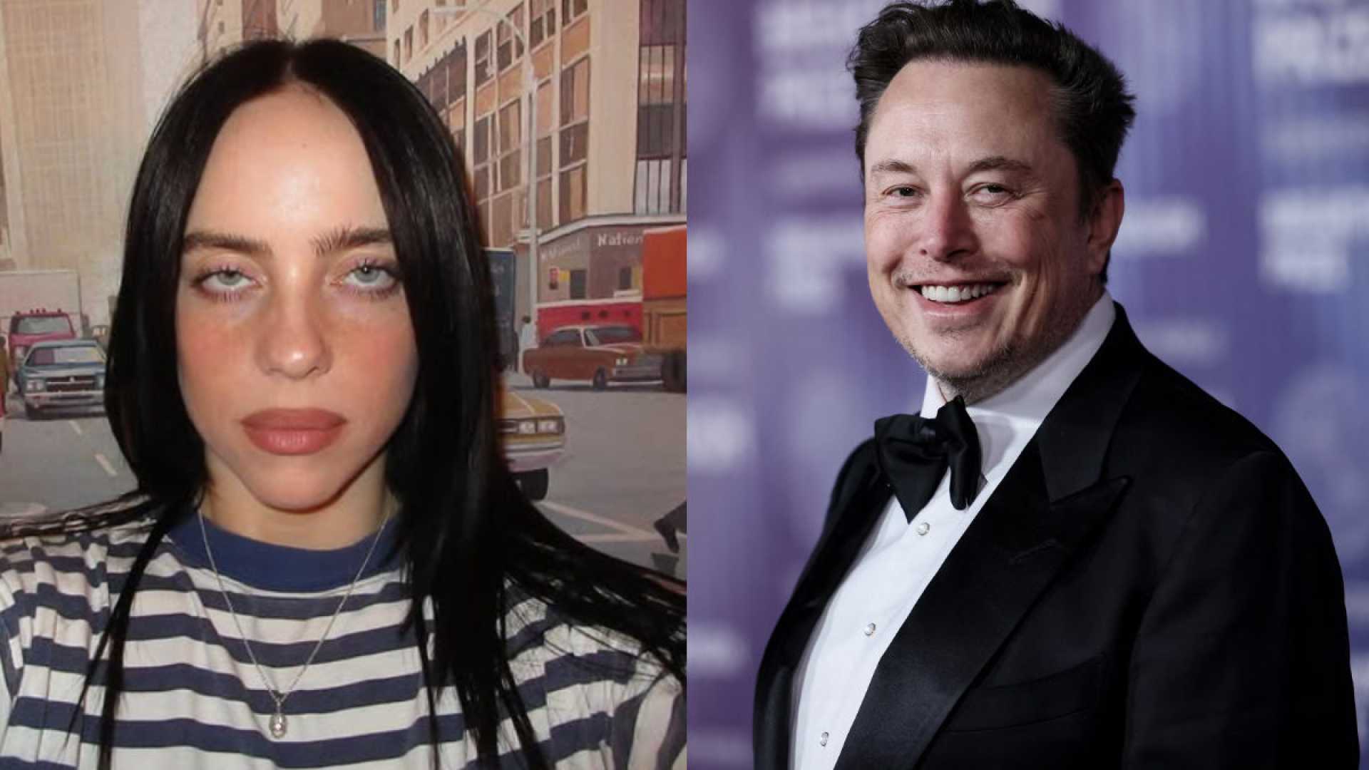 Billie Eilish Slams Elon Musk On Instagram