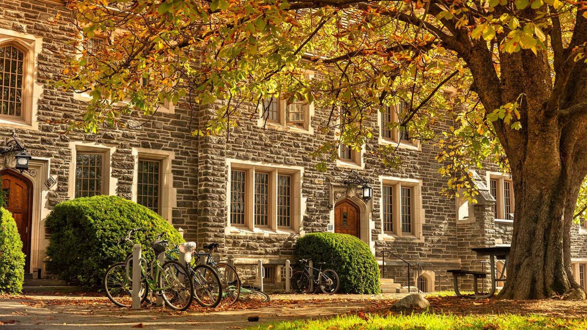 College Campuses Travel Experiences