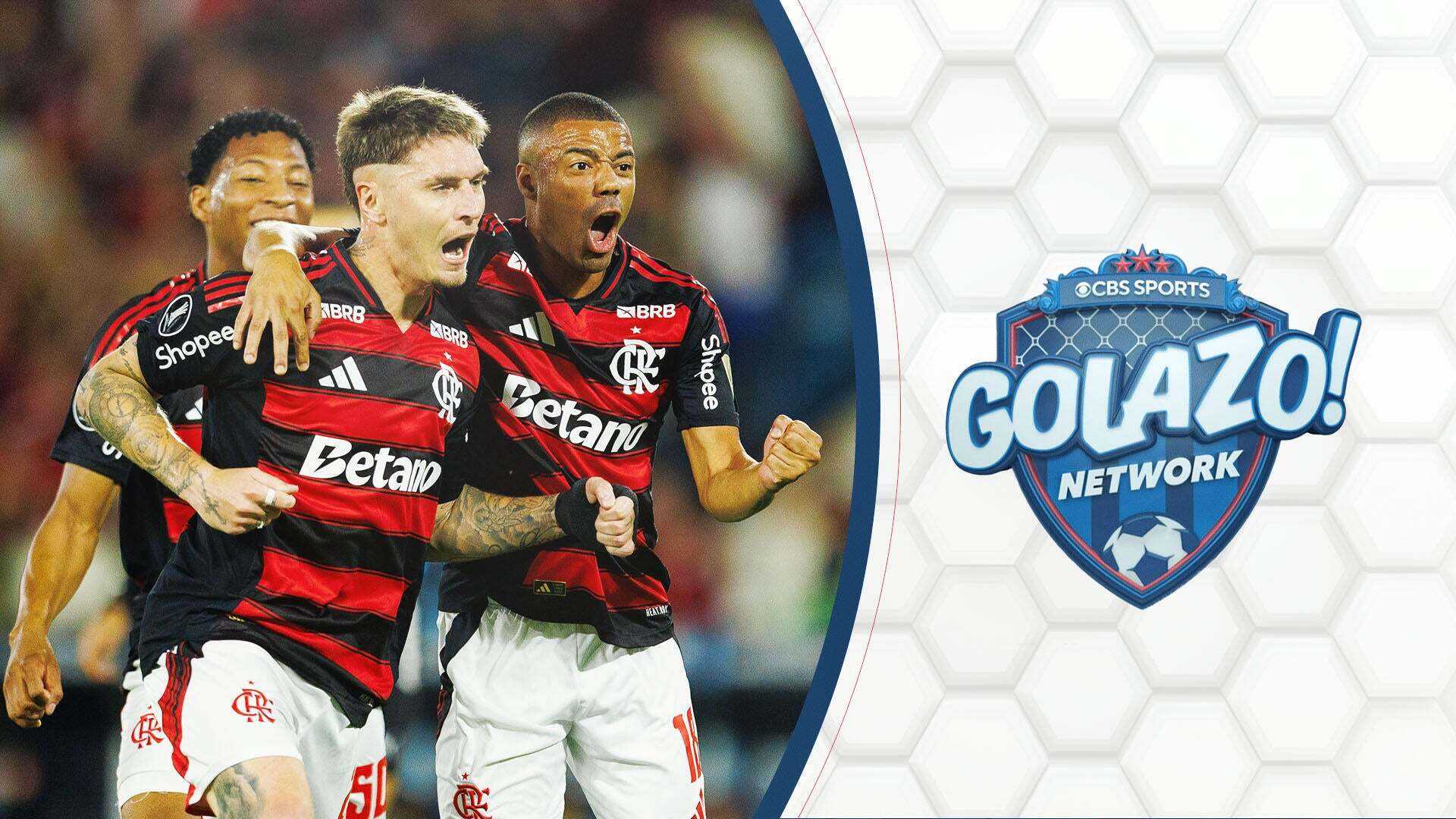 Copa Libertadores Final Palmeiras Flamengo