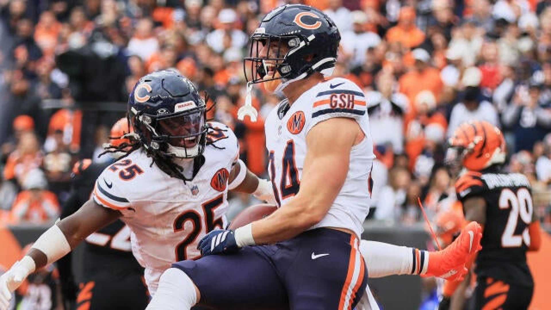 Dayo Odeyingbo Chicago Bears Injury
