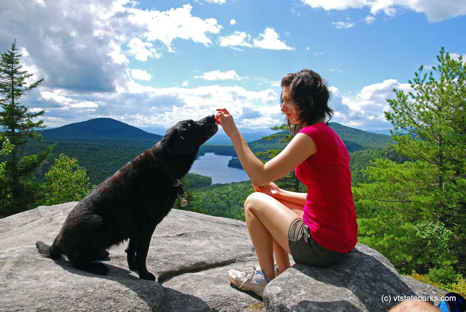 Dog Walking Newport Vermont