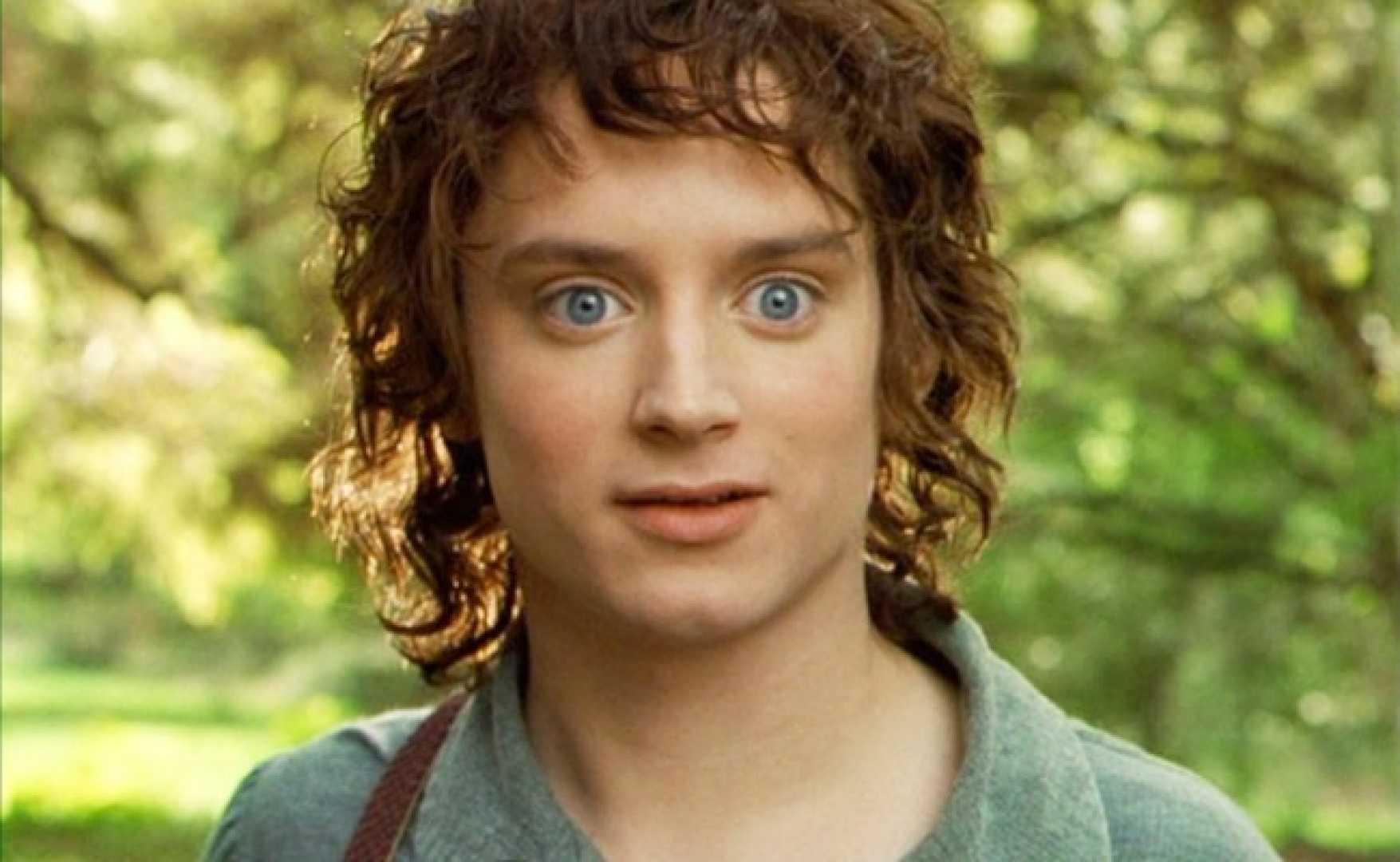Elijah Wood Frodo Baggins Lord Of The Rings