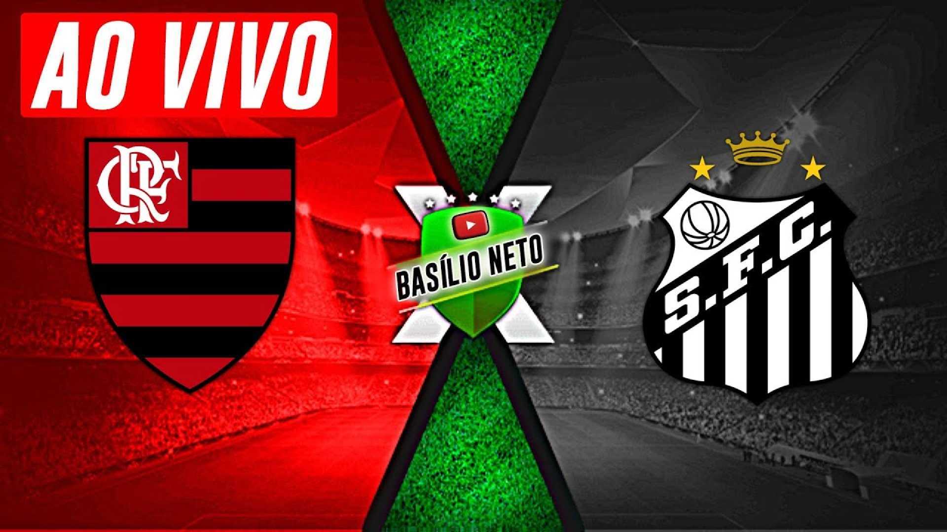 Flamengo Santos Soccer Match