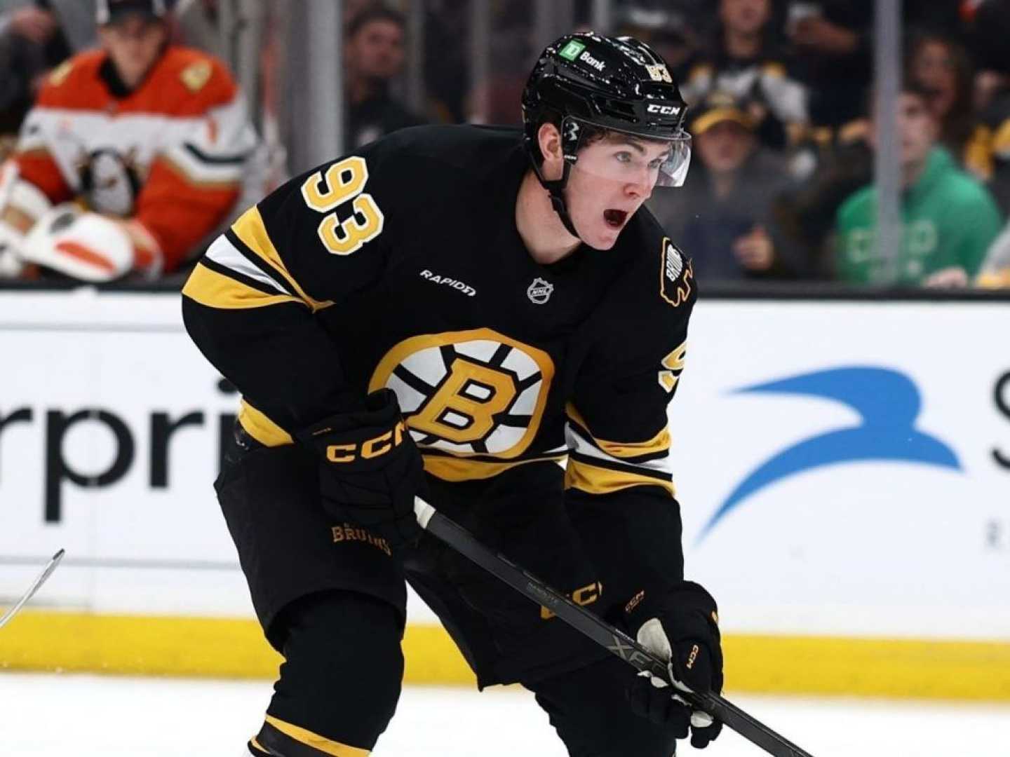 Fraser Minten Boston Bruins Hockey