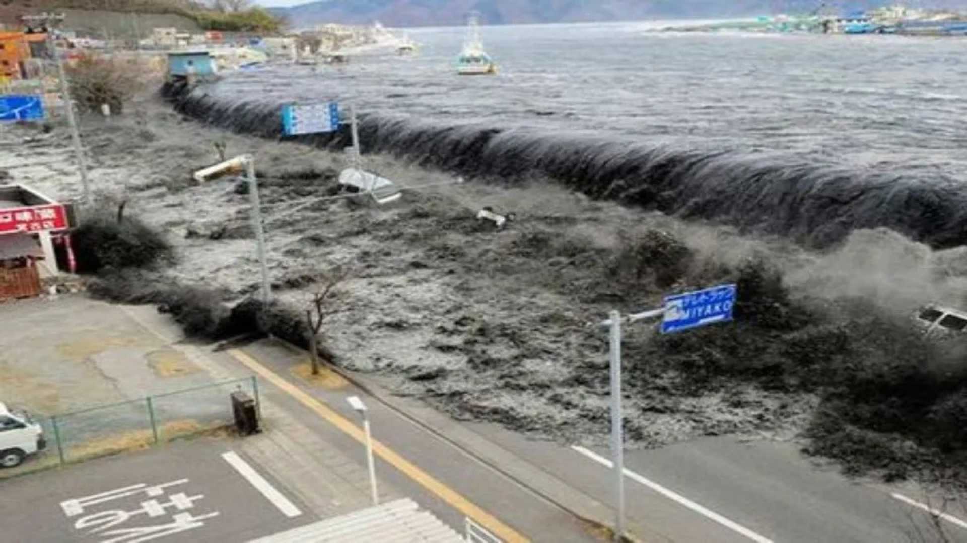 Japan Earthquake Tsunami Warning