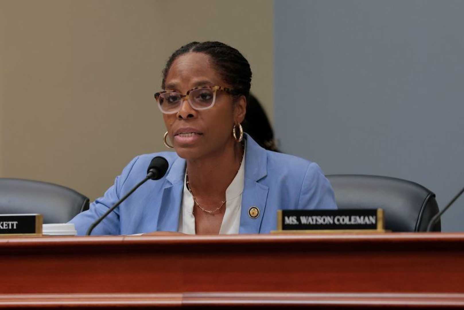 Jeffrey Epstein Stacey Plaskett Congressional Hearing