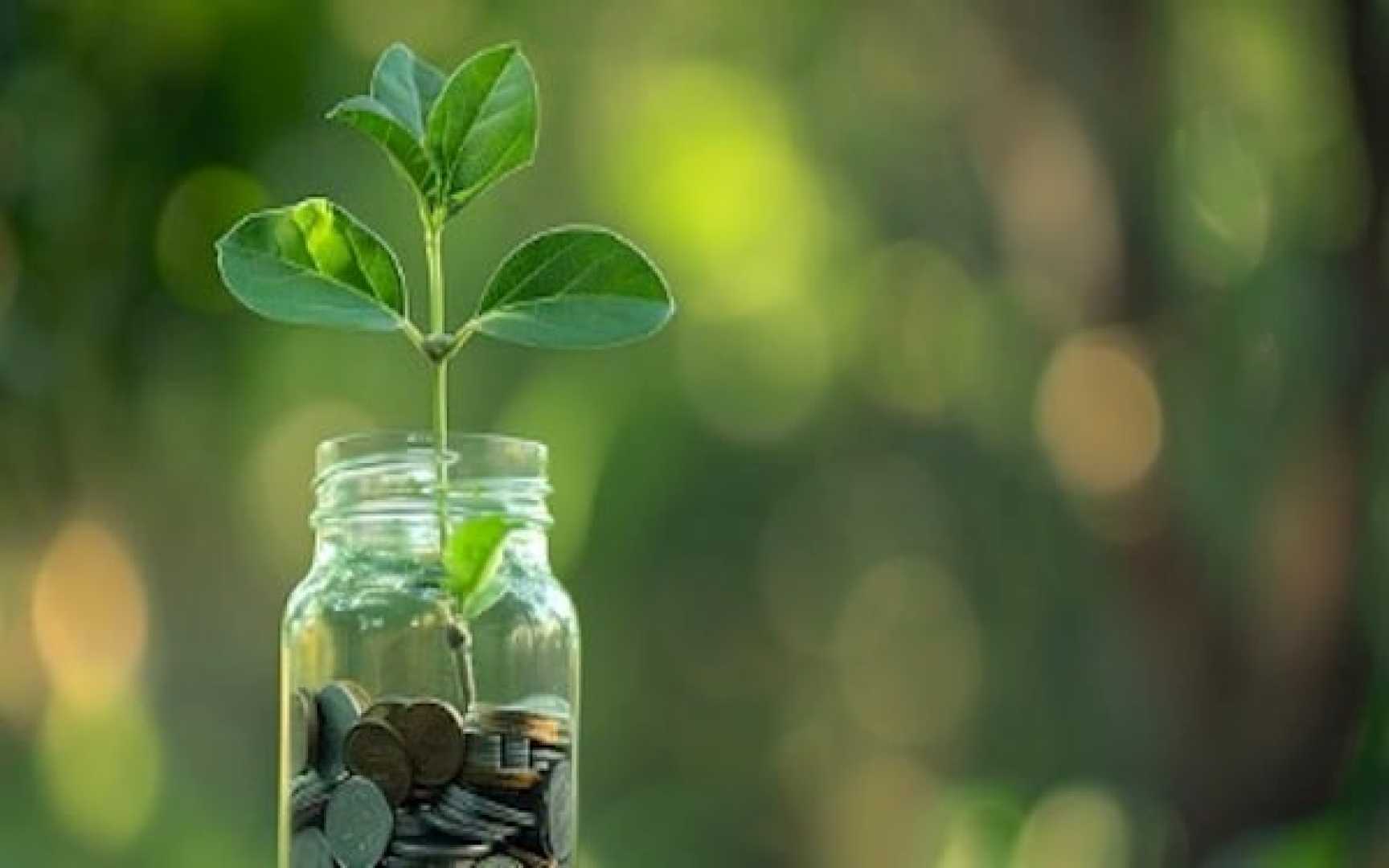 Johnson & Johnson Stock Performance 2025