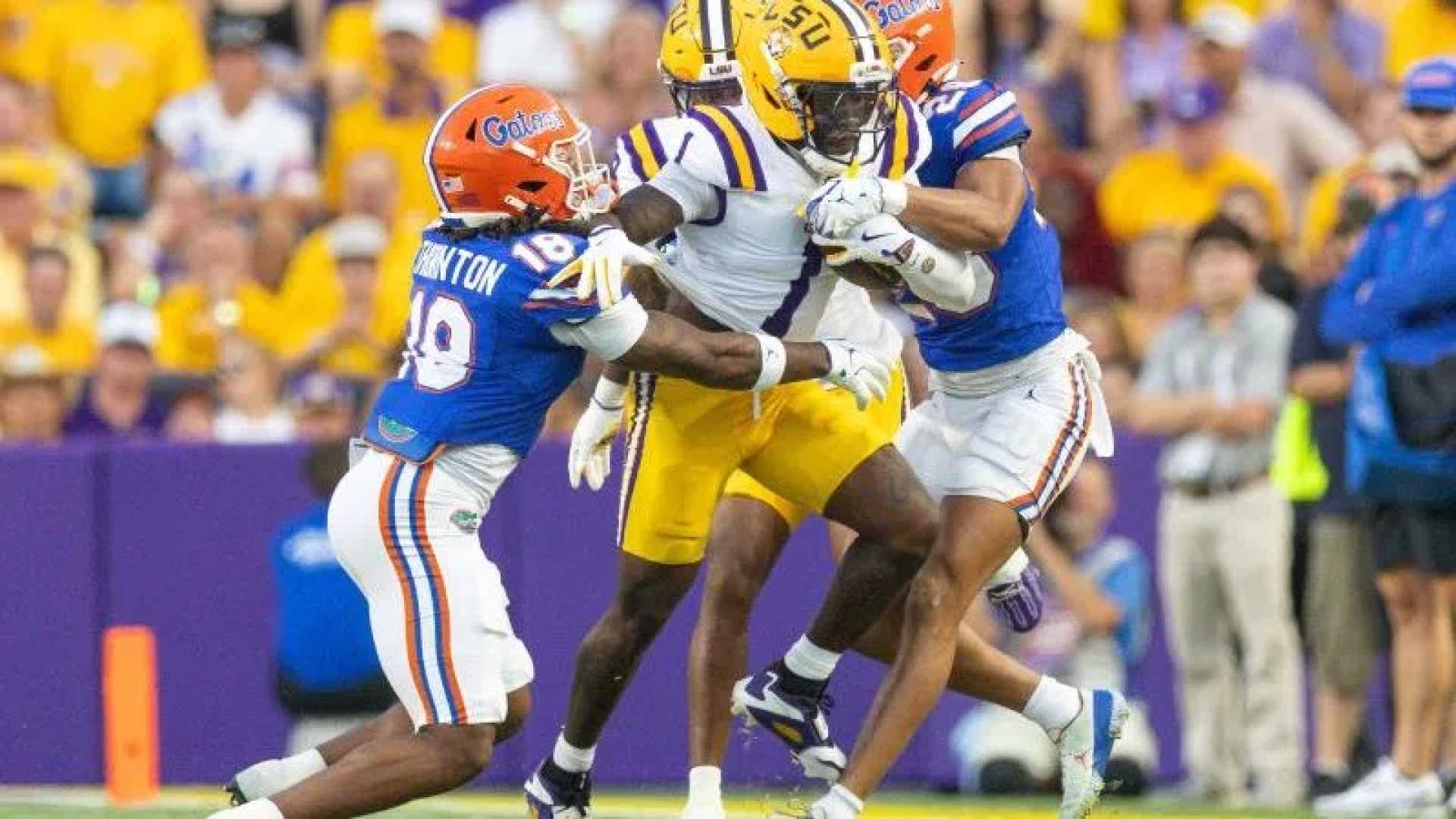 Lsu Football Injury Report November 2025