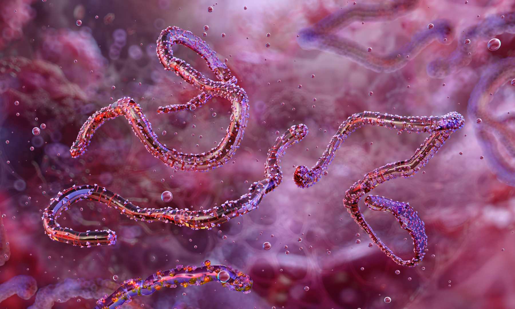 Marburg Virus Outbreak Ethiopia