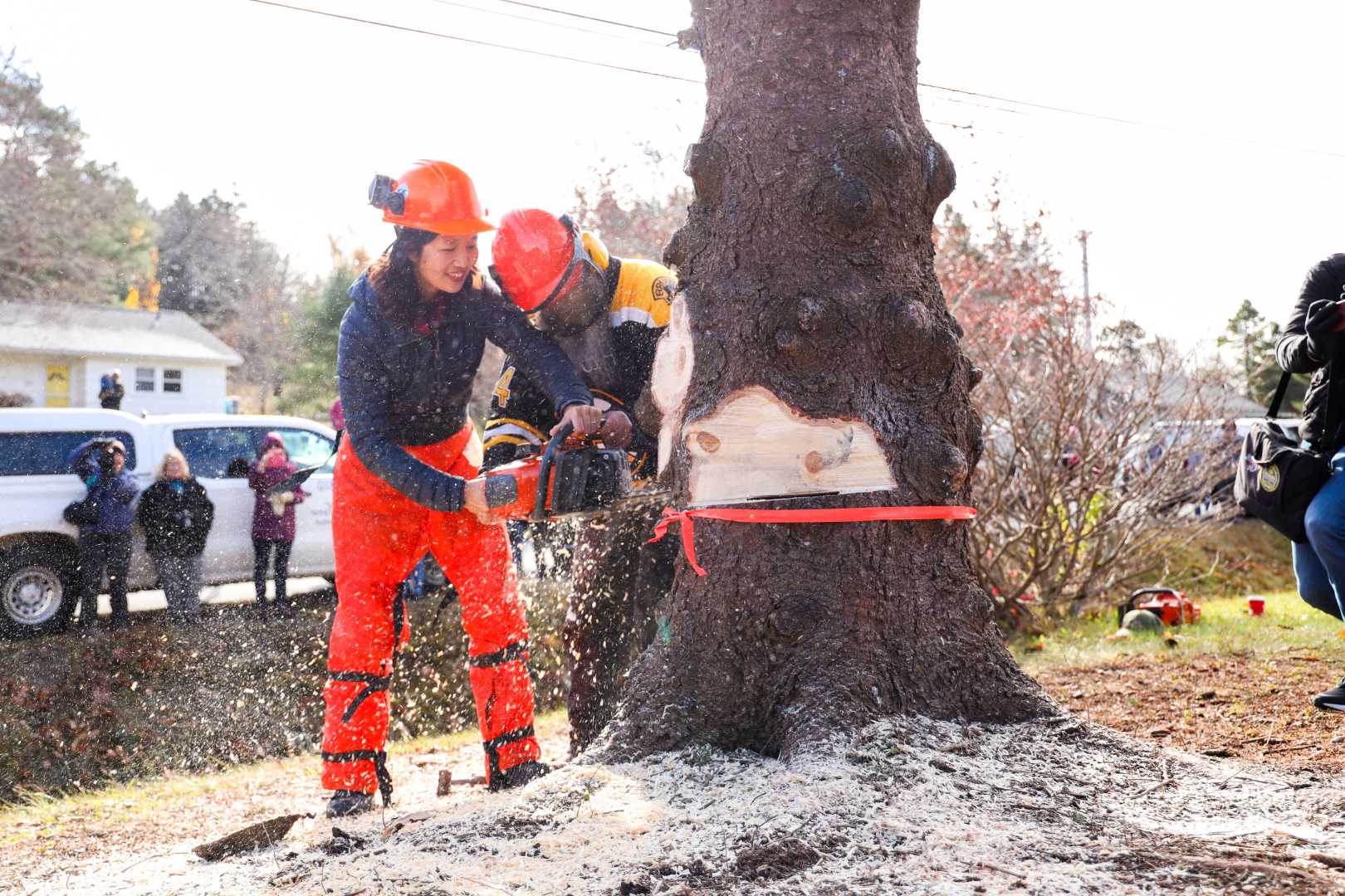 Michelle Wu Christmas Tree Canada Trip