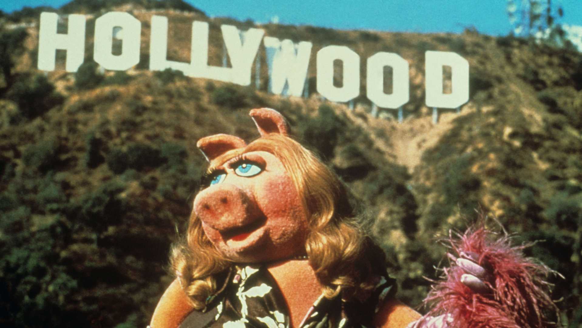 Miss Piggy Movie Announcement