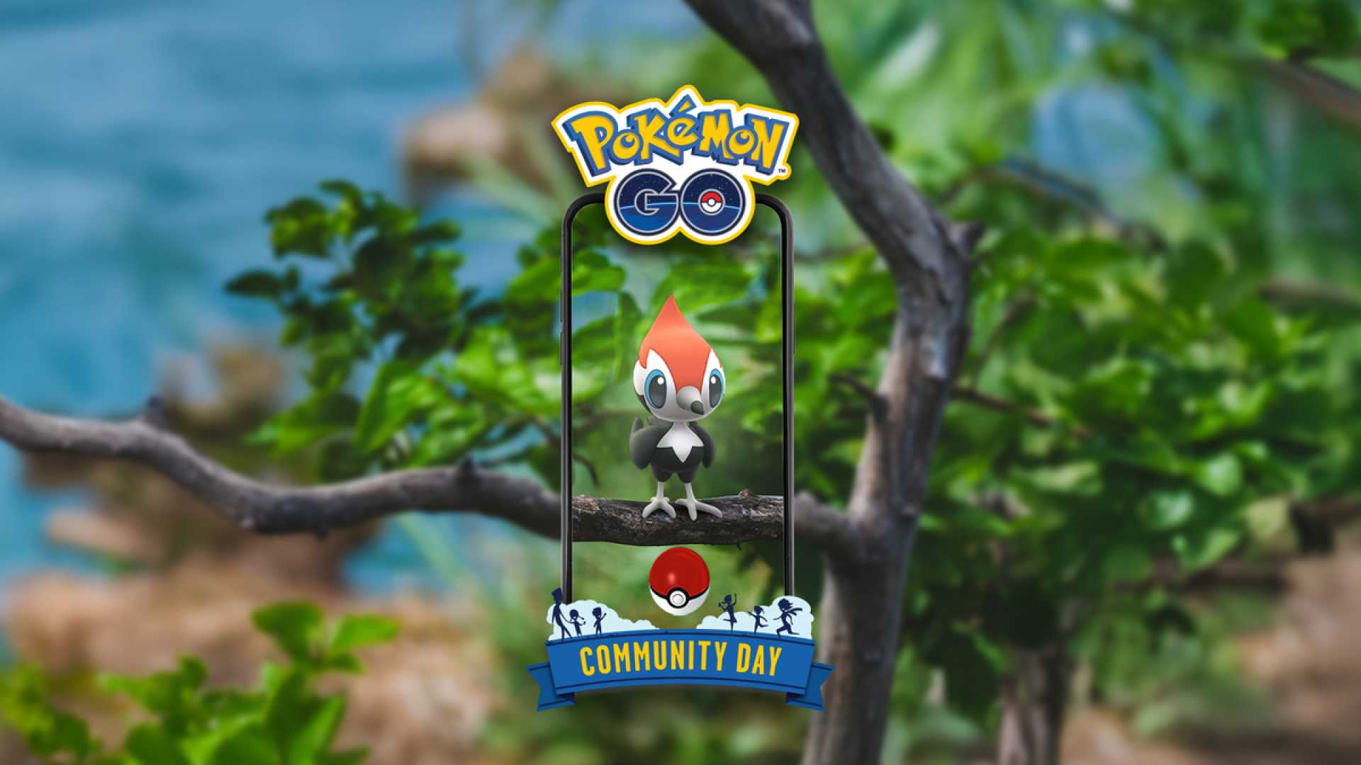 Pikipek Community Day Pokémon Go
