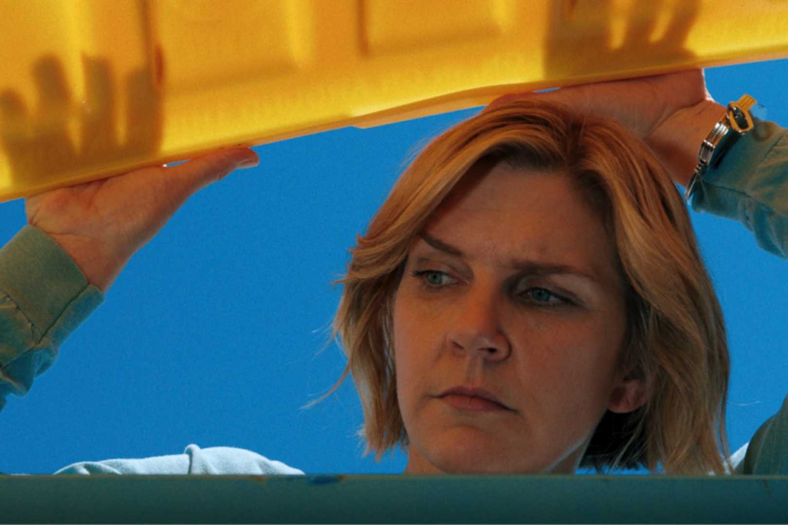 Rhea Seehorn Pluribus Patrick Fabian Cameo