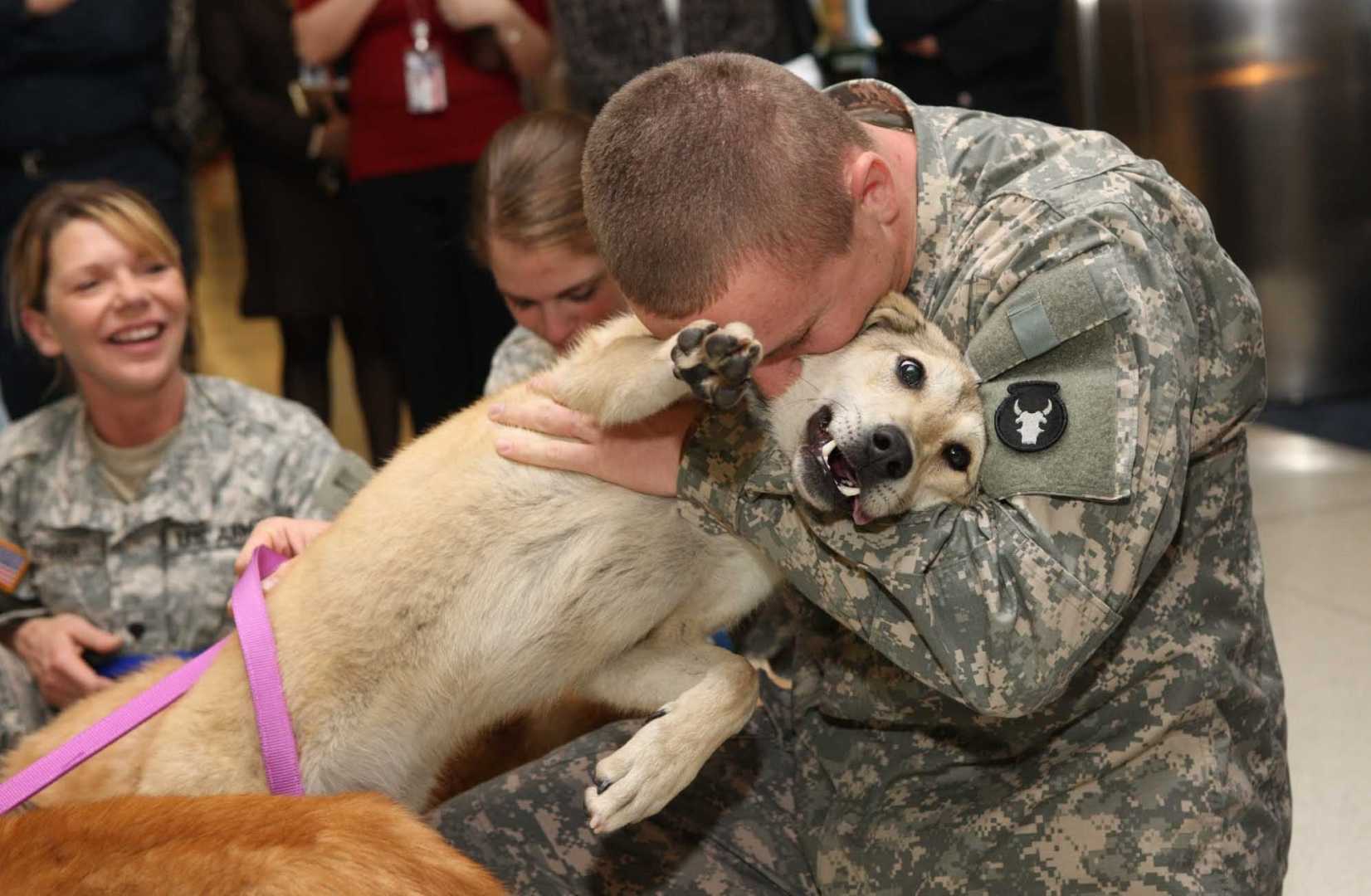 Soldier Reunion With Dog