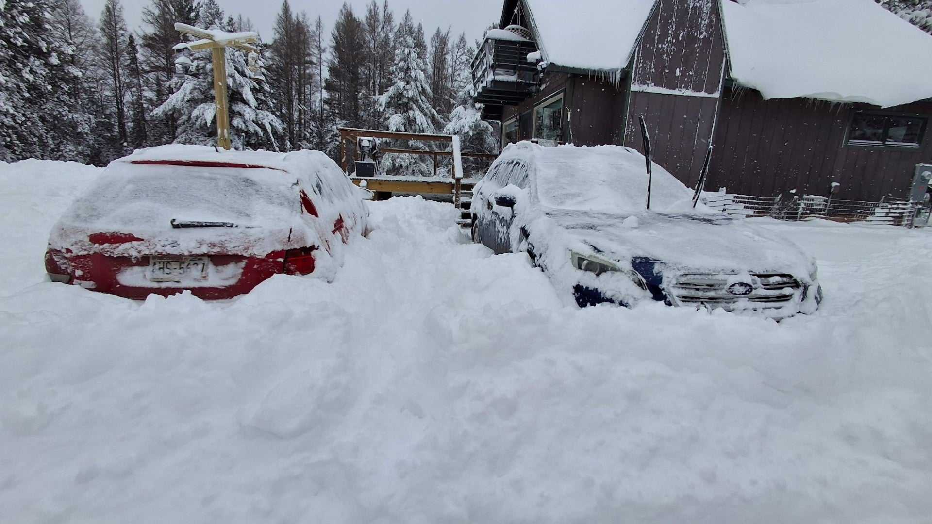 Thanksgiving Winter Storm Heavy Snow