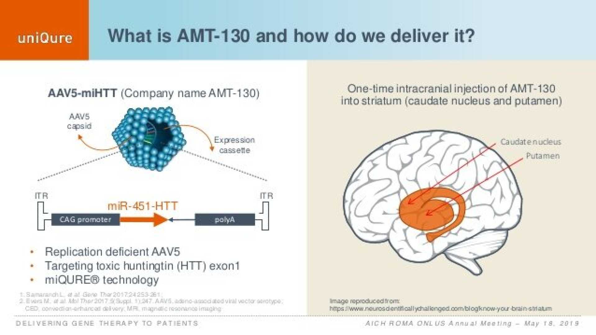 Uniqure Amt 130 Huntington's Disease