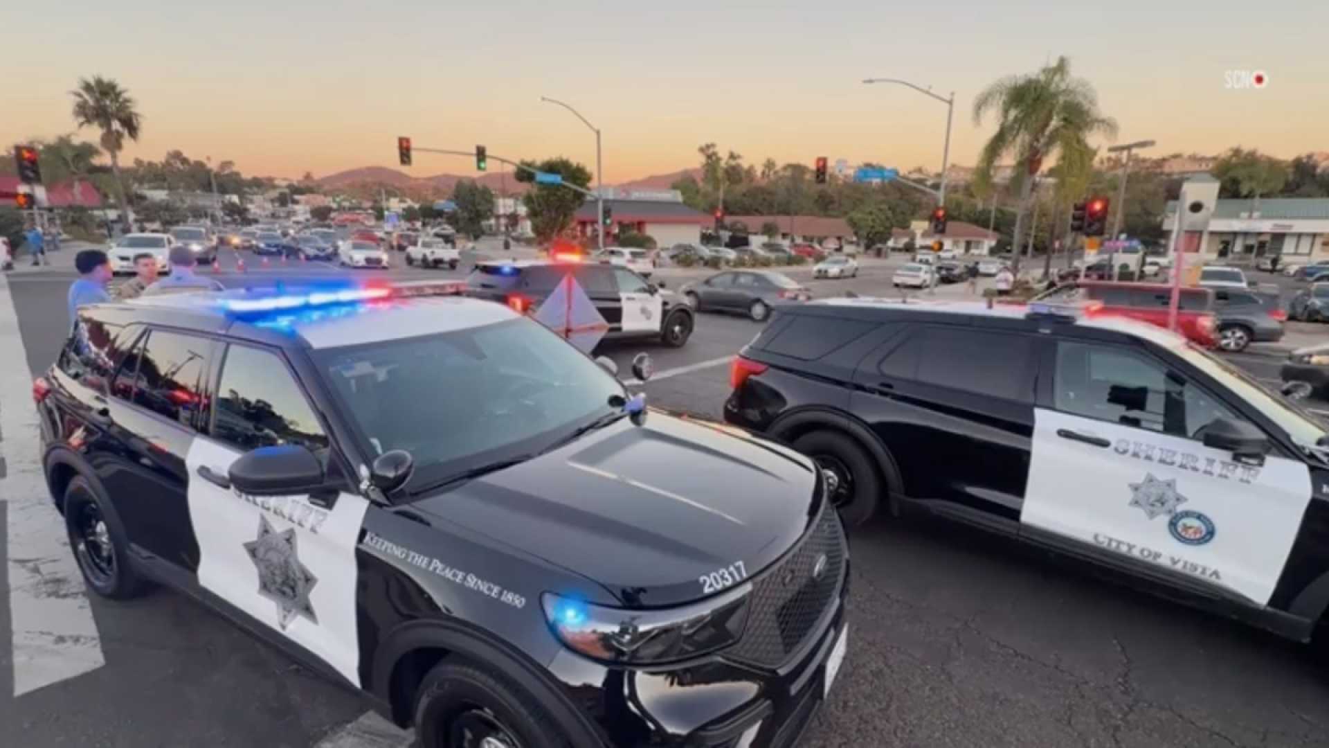 Vista California Pedestrian Collision