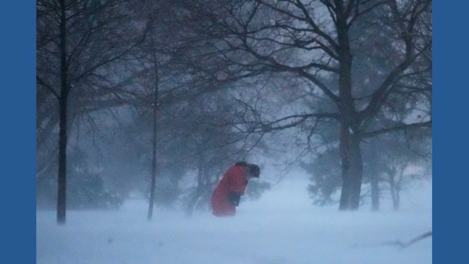 Winter Storm Weather Snow Thanksgiving