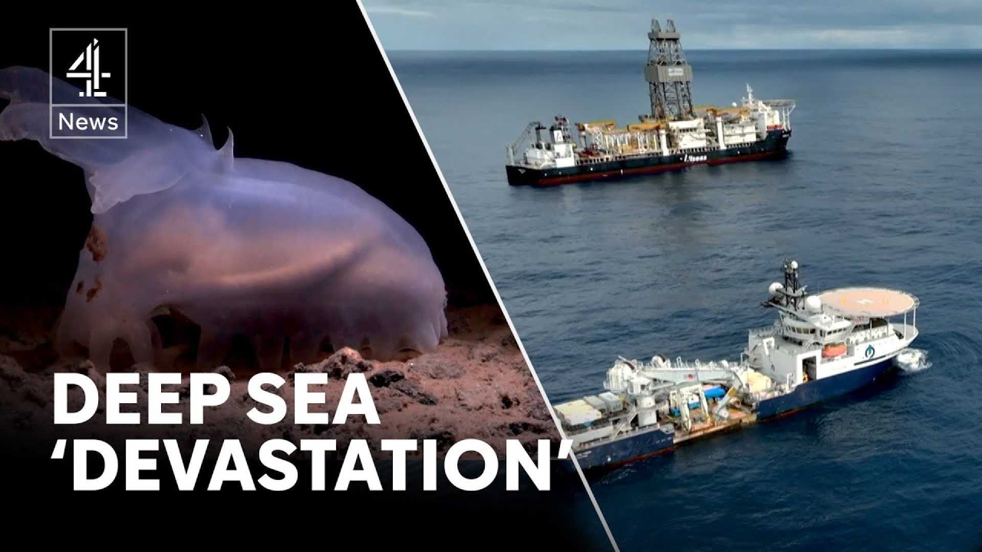 Deep Sea Mining Biodiversity Study