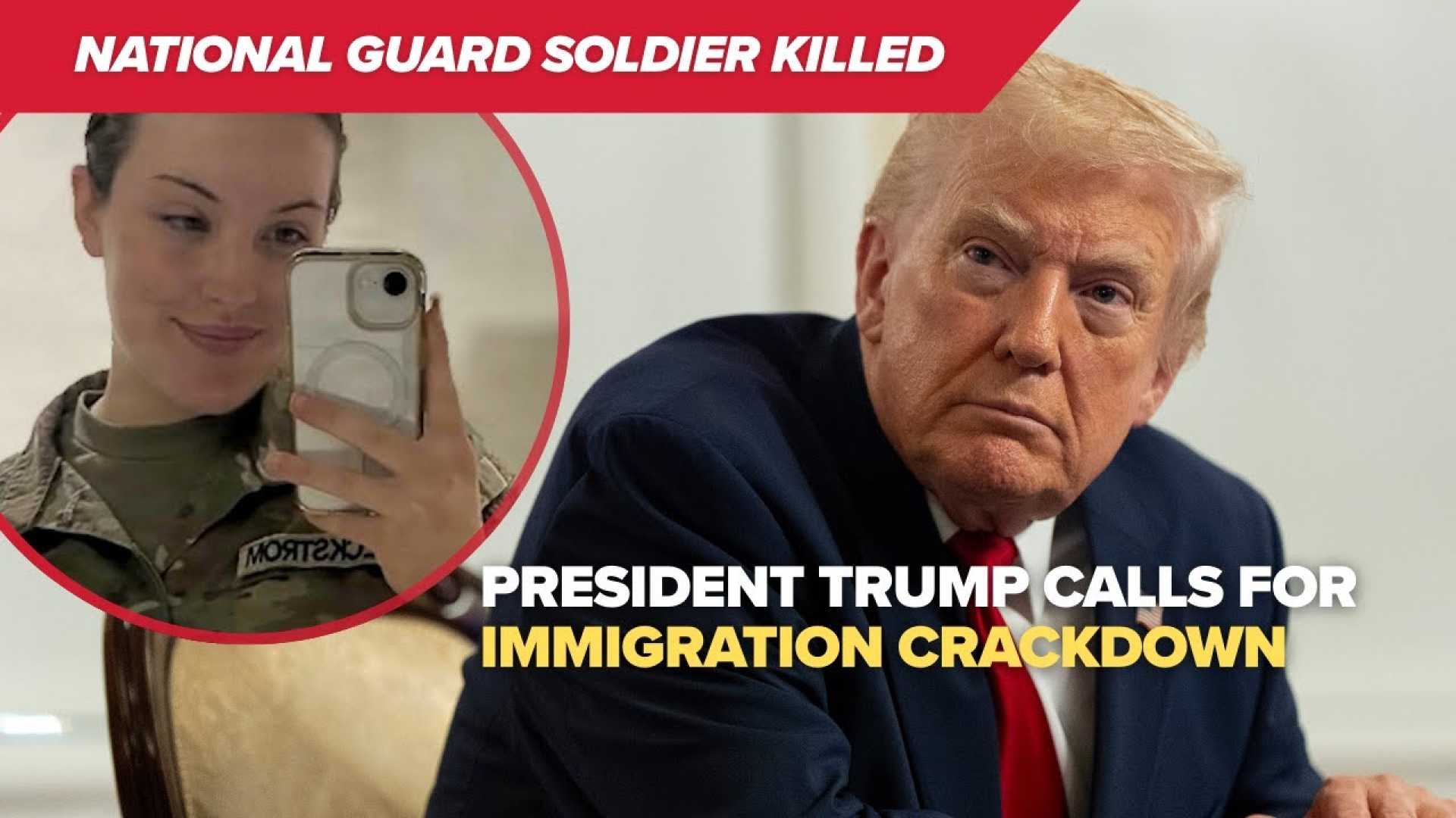 Donald Trump Immigration Crackdown