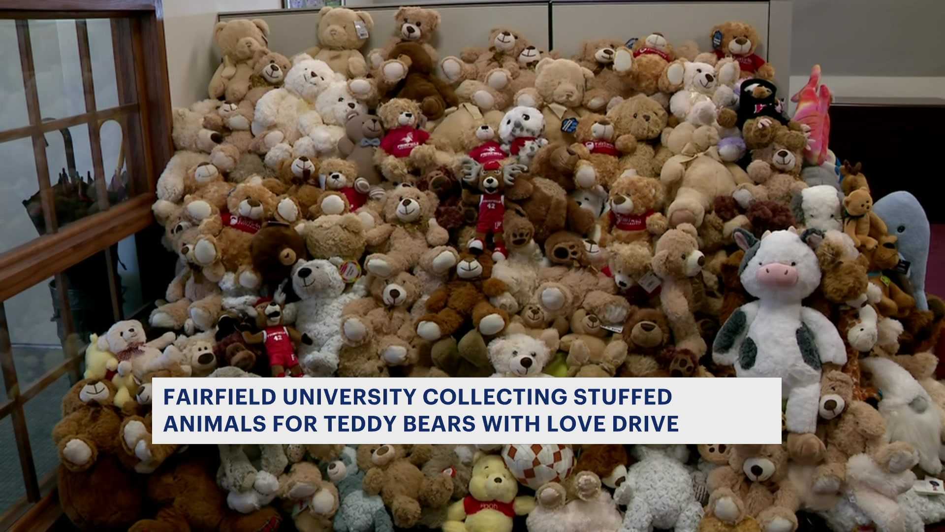 Fairfield University Teddy Bear Drive