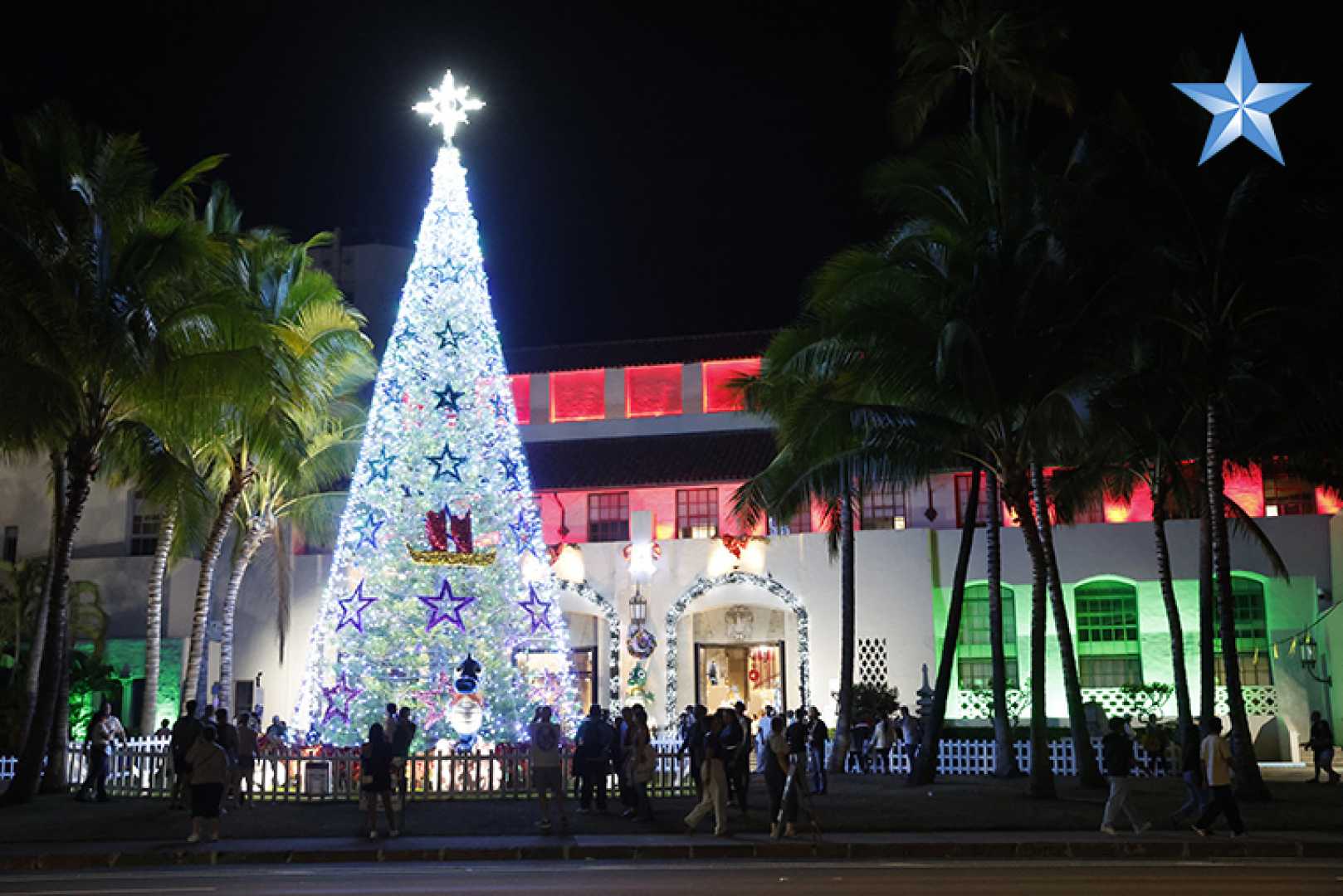 Honolulu City Lights Holiday Displays