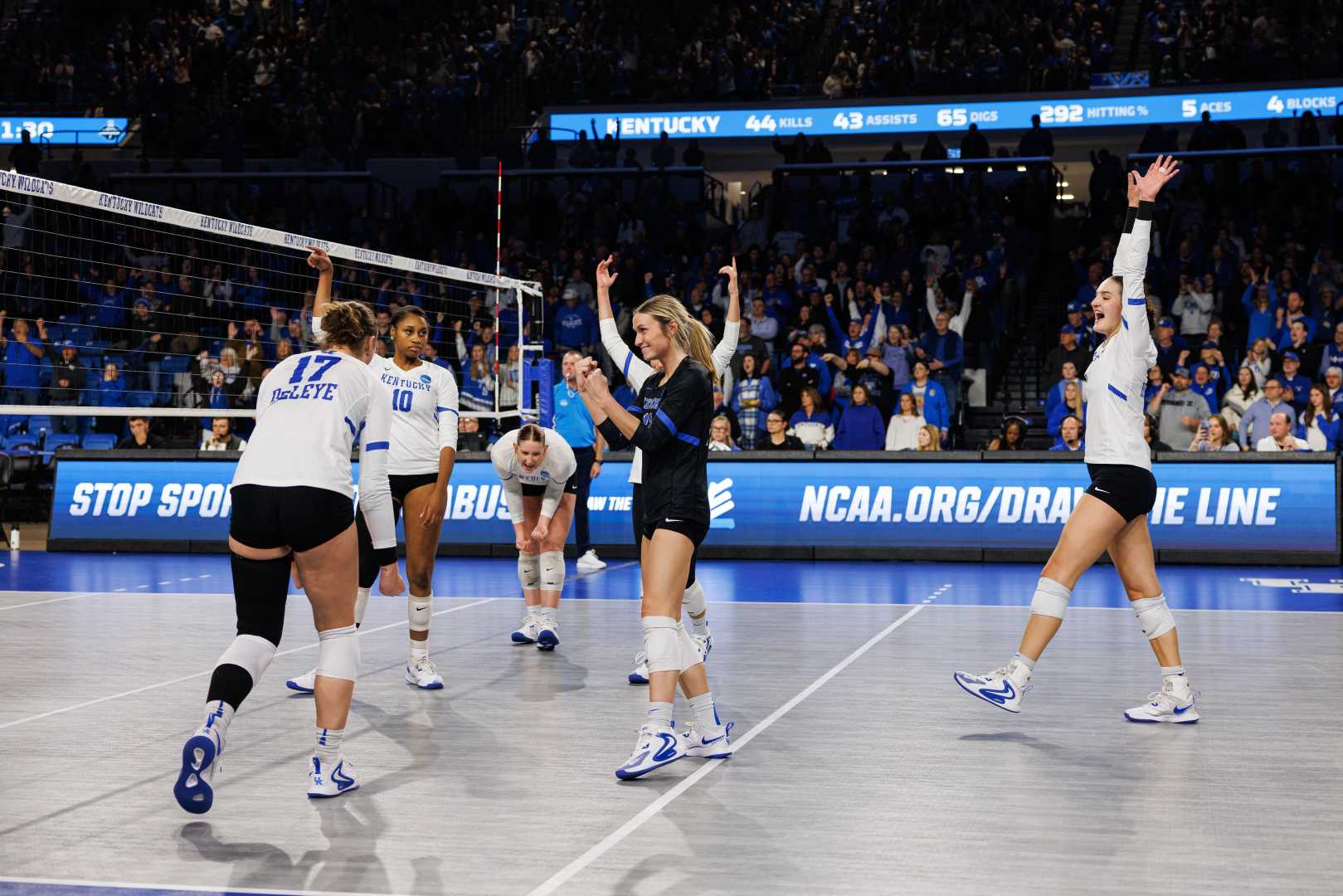 Kentucky Wildcats Volleyball Tournament