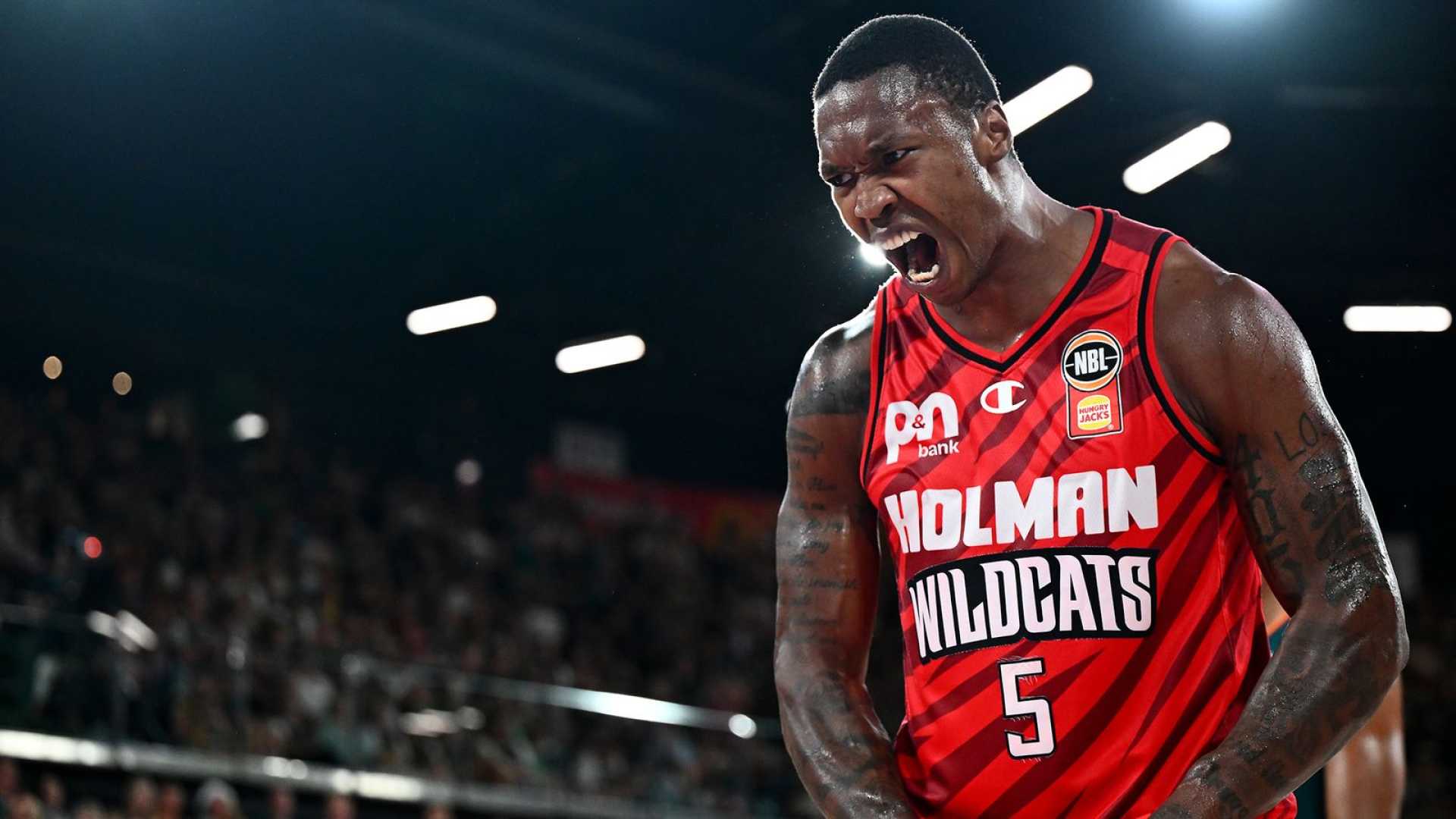 Kristian Doolittle Perth Wildcats Performance