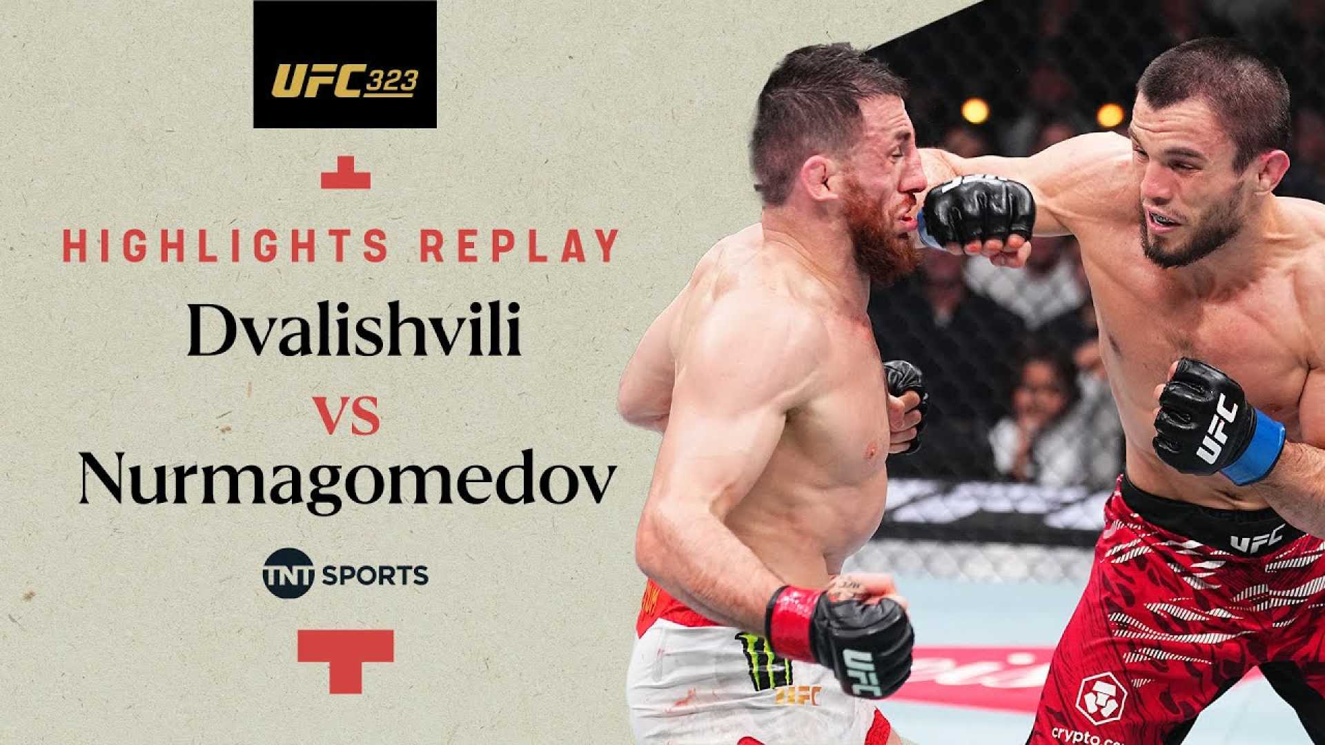 Merab Dvalishvili Ufc Fight