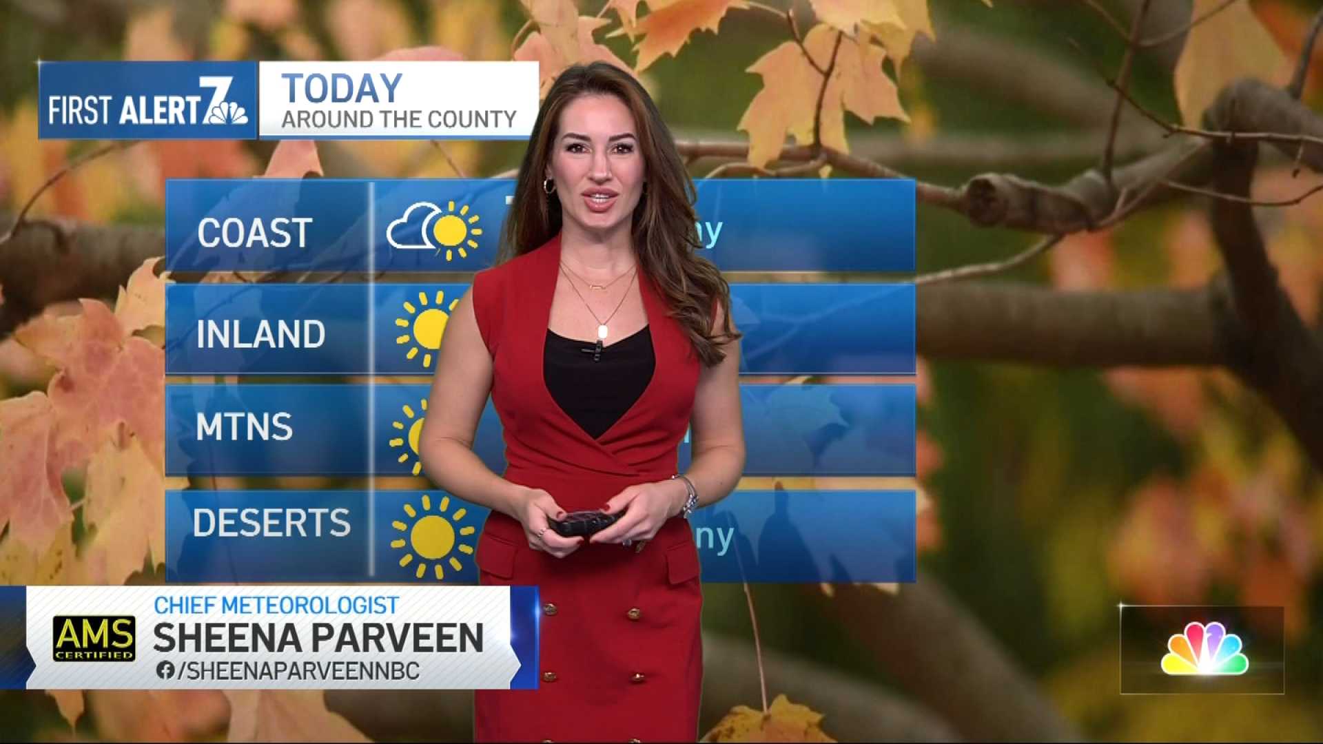 San Diego Weather Forecast November 2025