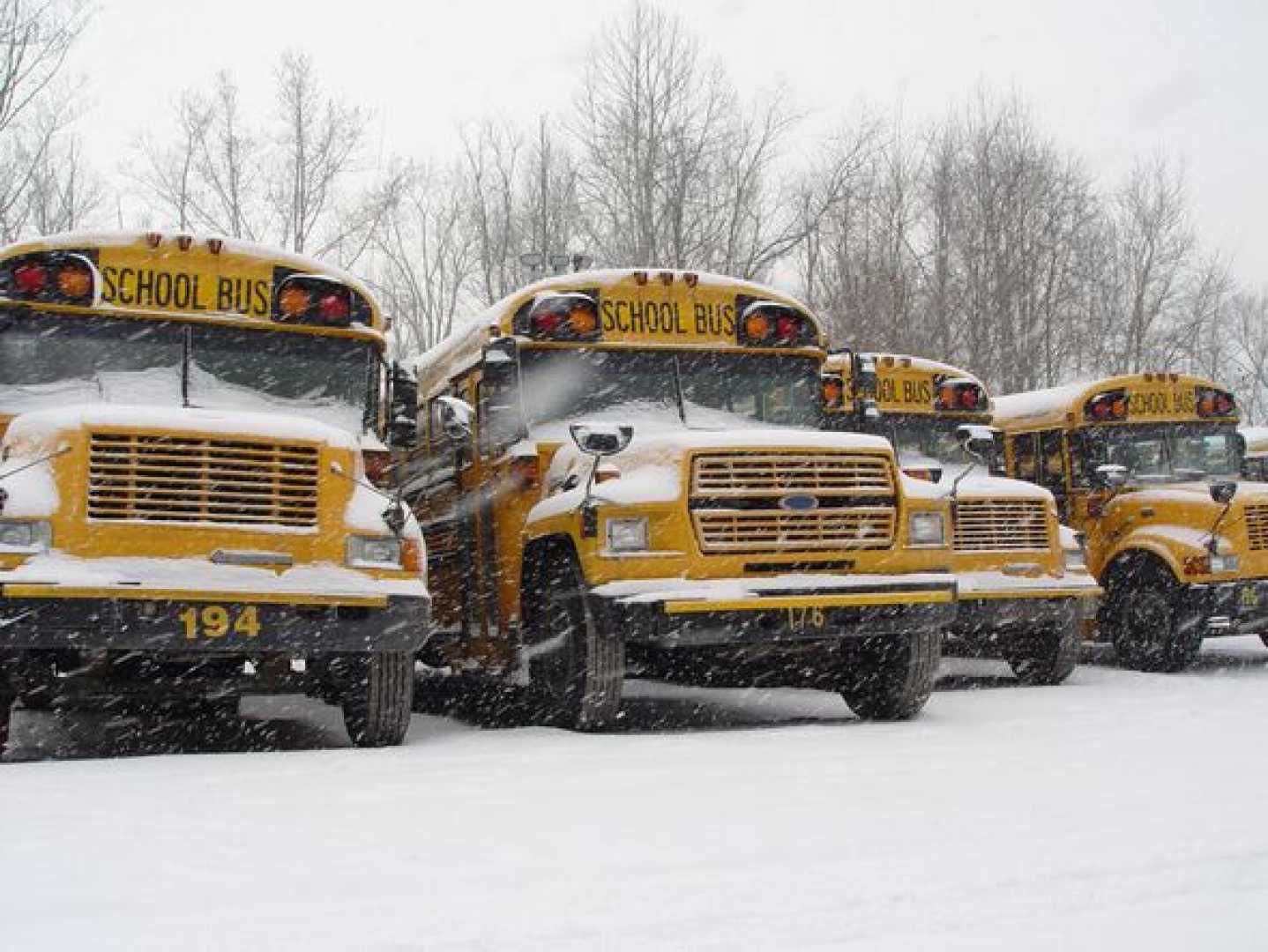 Washington D.c. Snow School Delays