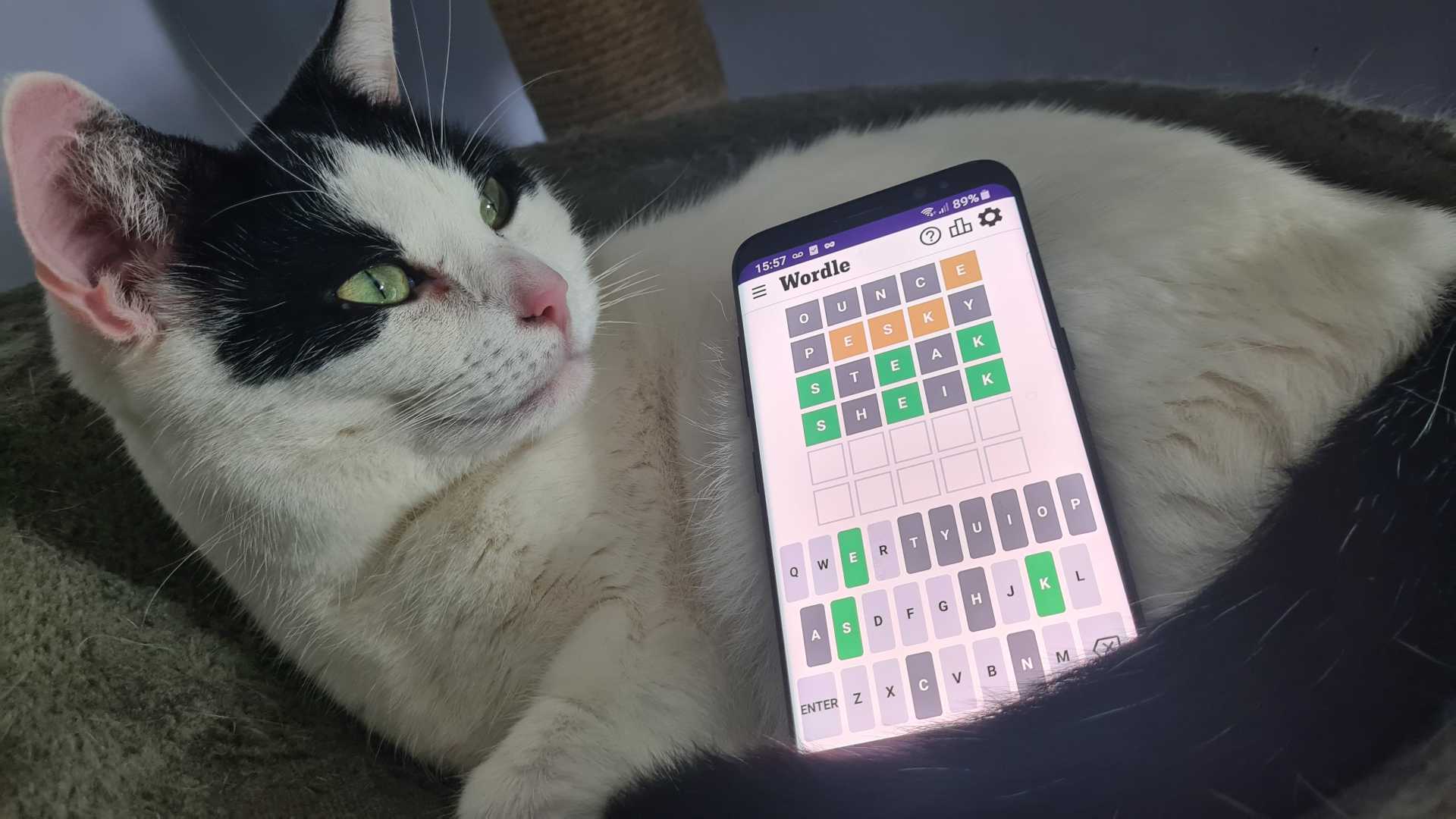 Wordle Game Hints And Answers