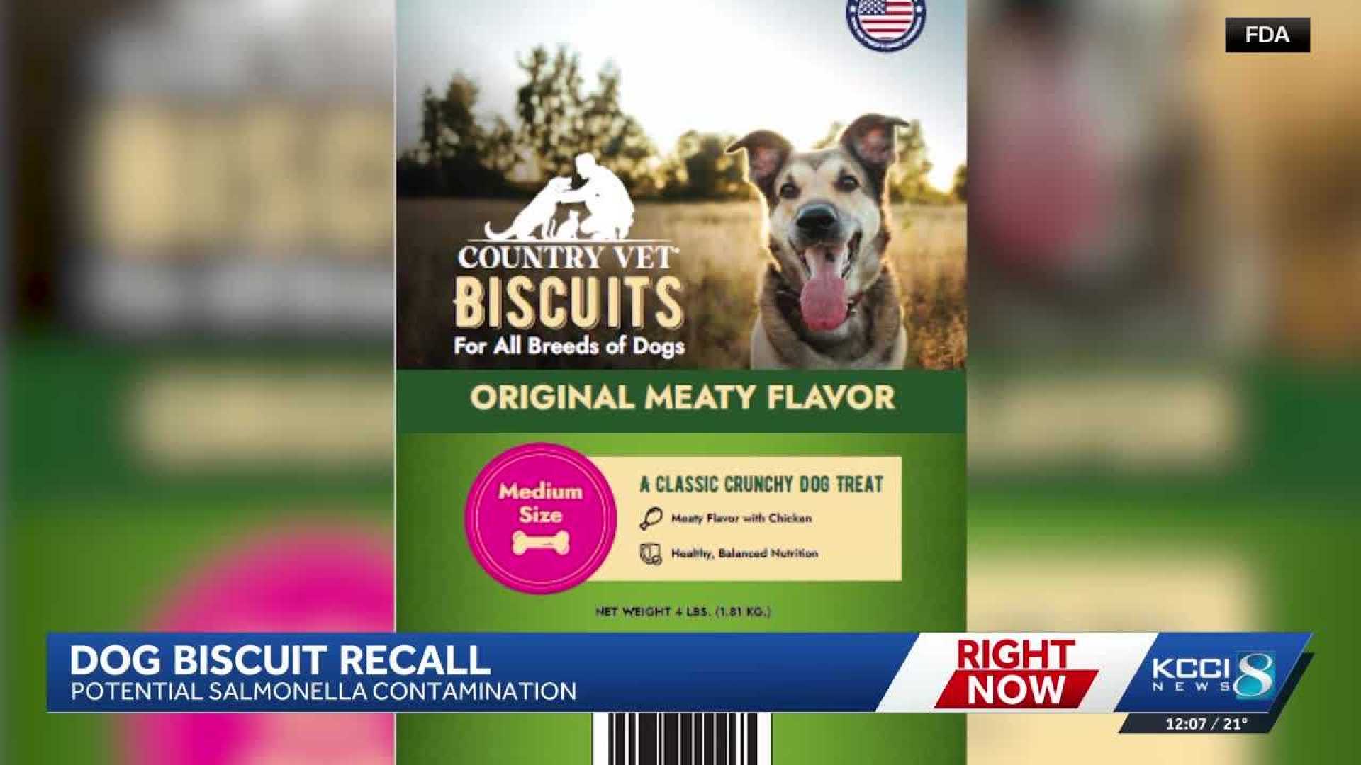 Dog Biscuits Salmonella Recall